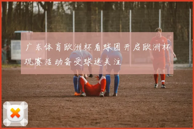 广东体育欧洲杯看球团开启欧洲杯观赛活动备受球迷关注
