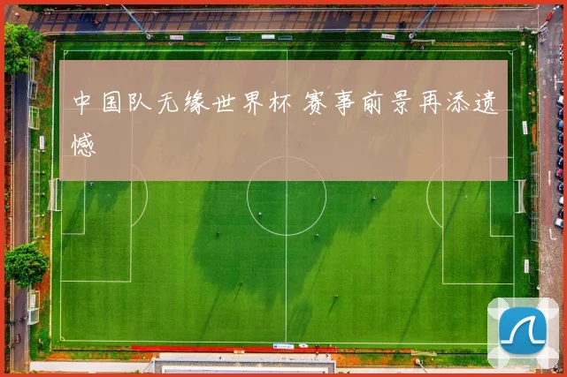 中国队无缘世界杯 赛事前景再添遗憾