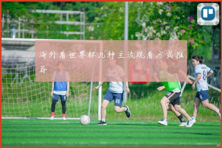 海外看世界杯几种主流观看方式推荐
