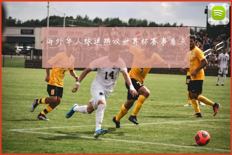 海外华人球迷热议世界杯赛事看点