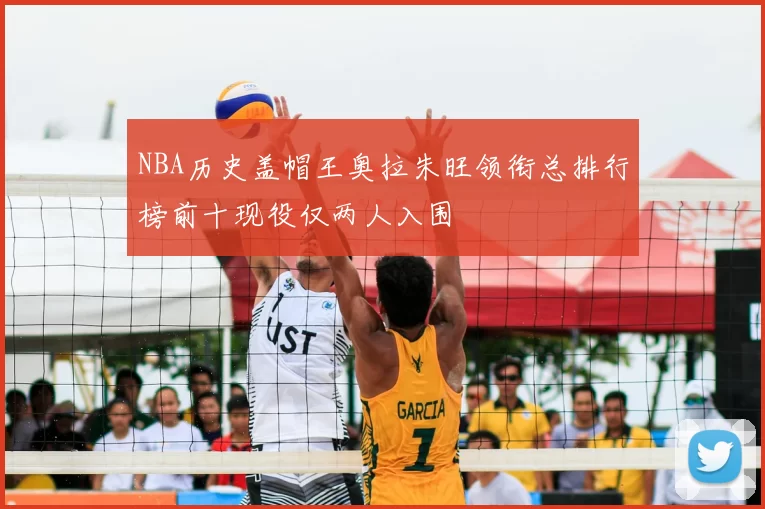 NBA历史盖帽王奥拉朱旺领衔总排行榜前十现役仅两人入围