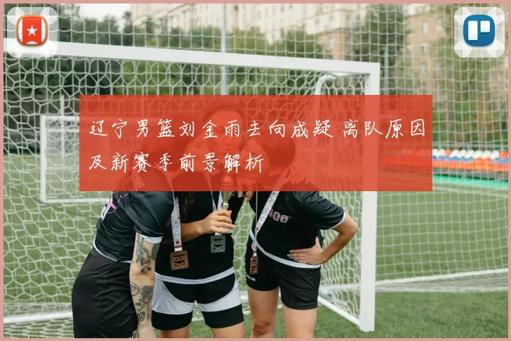 辽宁男篮刘金雨去向成疑 离队原因及新赛季前景解析
