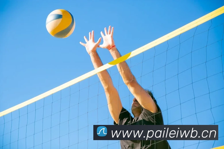 Bsports - B(中国)一站式服务官网发展历程